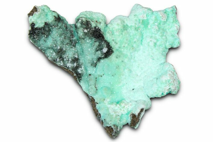 Sparkling Blue-Green Aurichalcite and Smithsonite - Utah #361332